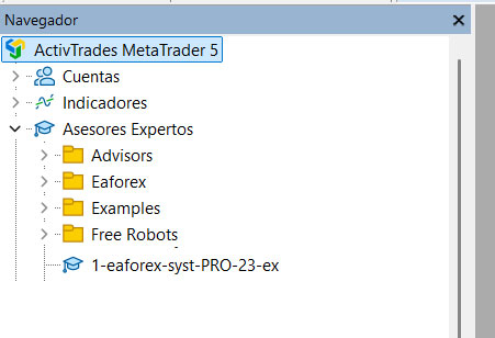 Asesores Expertos